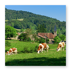 Hébergement touristique dans le Haut-Jura