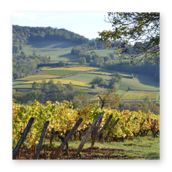 Hébergement dans en Bresse, dans le Vignoble du Revermont