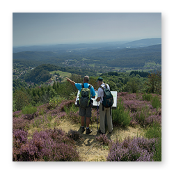 Hébergement touristique dans les Vosges du sud